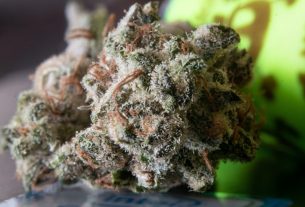 Order Premium Cannabis Through Wiet Bestellen With Complete Confidence
