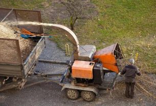 Tree Removal Service Mobile with Fast Local Response