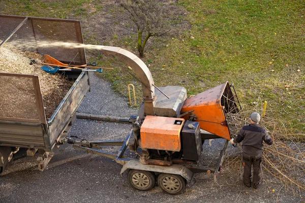 Tree Removal Service Mobile with Fast Local Response